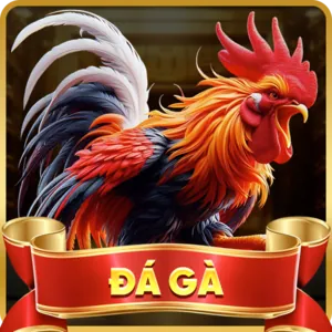 Hỗ trợ qua Email abc8 link vào