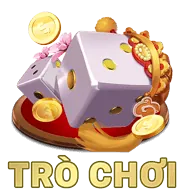 Trang đích